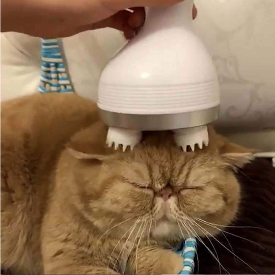 Electric Cat Head Massager Dog Pet Massage Machine Vibrating Scalp Cha Isardia Electric Cat Head Massager Dog Pet Massage Machine Vibrating Scalp Cha Isardia