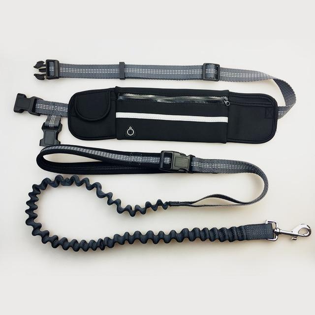Hands Free Dog Leash - Etrendpro